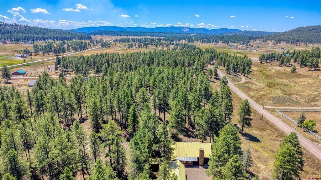 233 Stagecoach Lane Pagosa Springs CO 81147