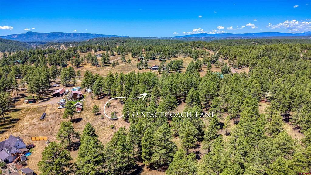 233 Stagecoach Lane Pagosa Springs CO 81147