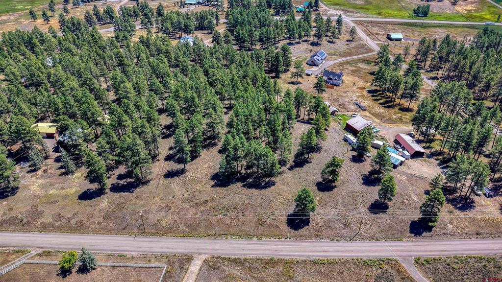 233 Stagecoach Lane Pagosa Springs CO 81147