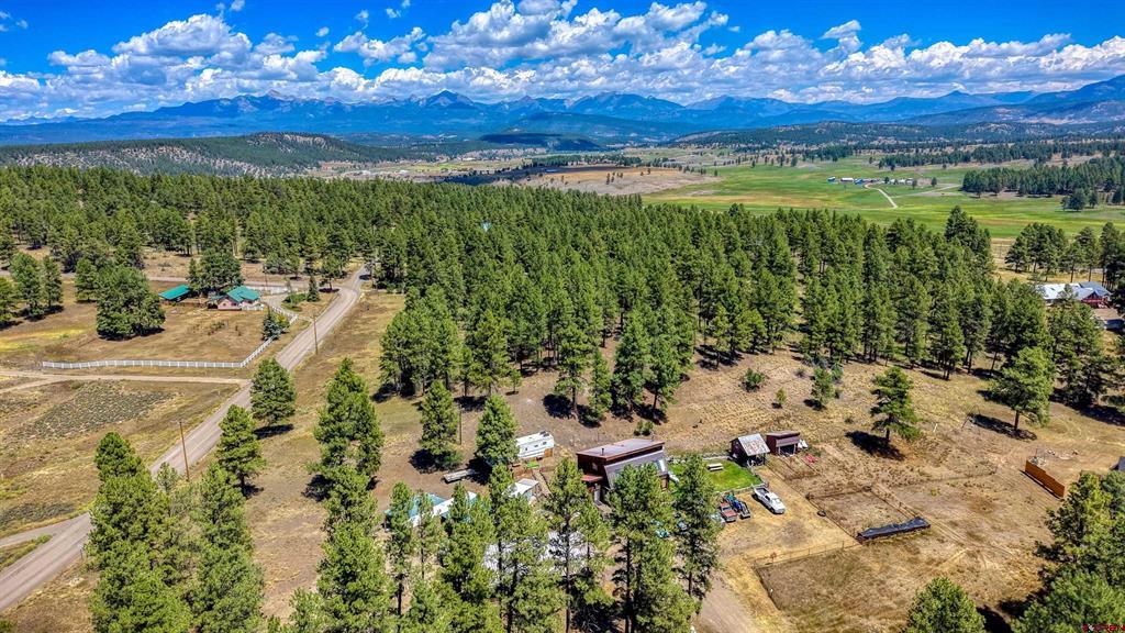233 Stagecoach Lane Pagosa Springs CO 81147