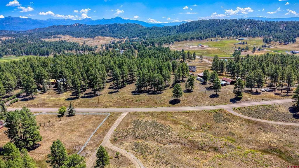 233 Stagecoach Lane Pagosa Springs CO 81147