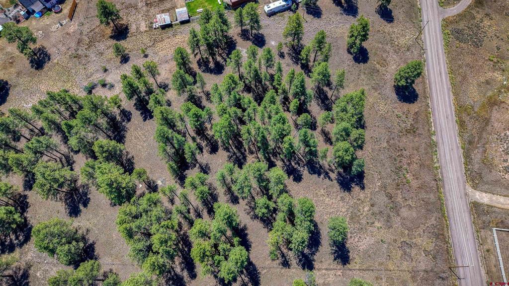 233 Stagecoach Lane Pagosa Springs CO 81147