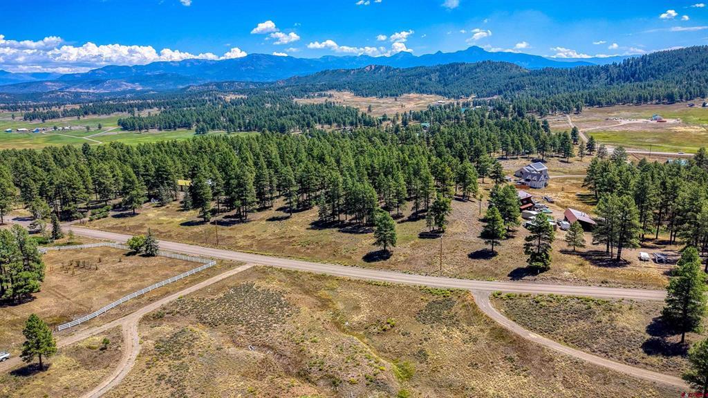 233 Stagecoach Lane Pagosa Springs CO 81147