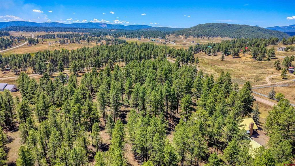 233 Stagecoach Lane Pagosa Springs CO 81147