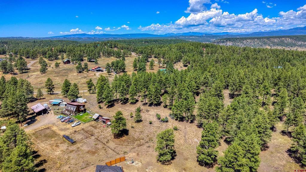 233 Stagecoach Lane Pagosa Springs CO 81147
