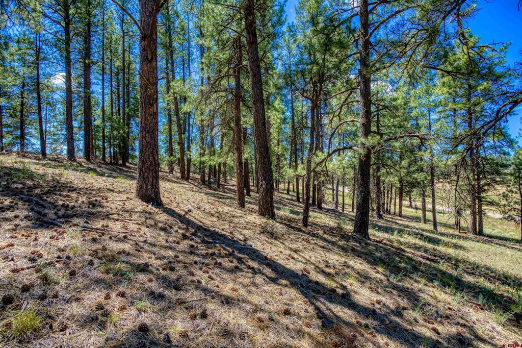 233 Stagecoach Lane Pagosa Springs CO 81147