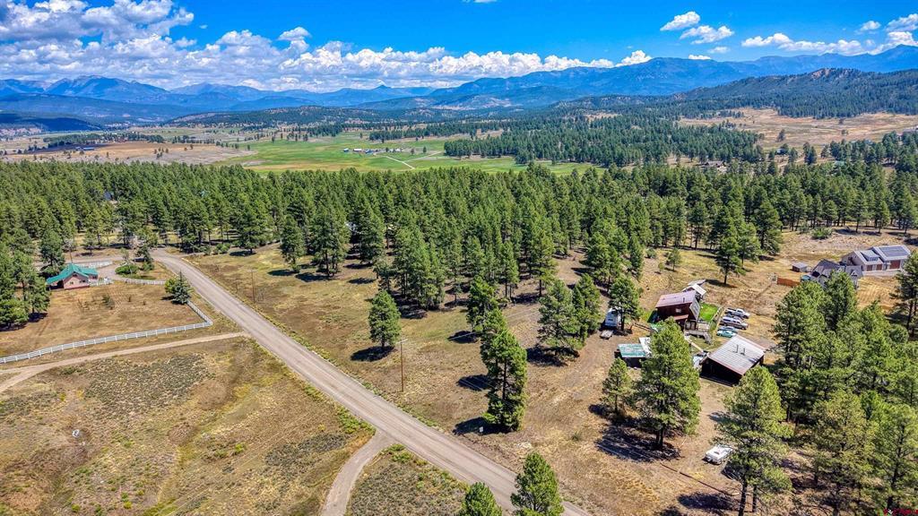 233 Stagecoach Lane Pagosa Springs CO 81147