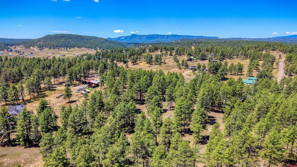 233 Stagecoach Lane Pagosa Springs CO 81147