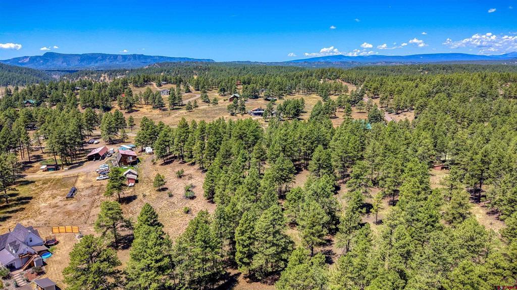 233 Stagecoach Lane Pagosa Springs CO 81147