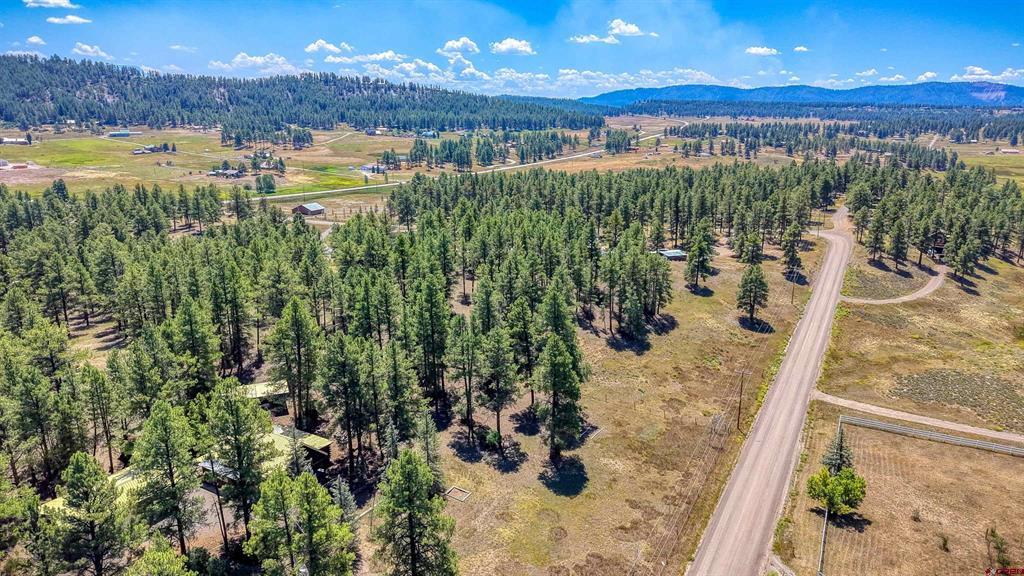 233 Stagecoach Lane Pagosa Springs CO 81147