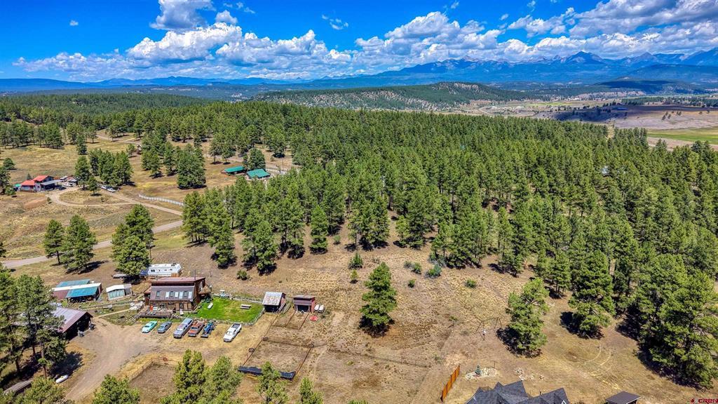 233 Stagecoach Lane Pagosa Springs CO 81147