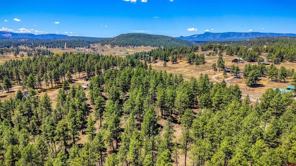 233 Stagecoach Lane Pagosa Springs CO 81147