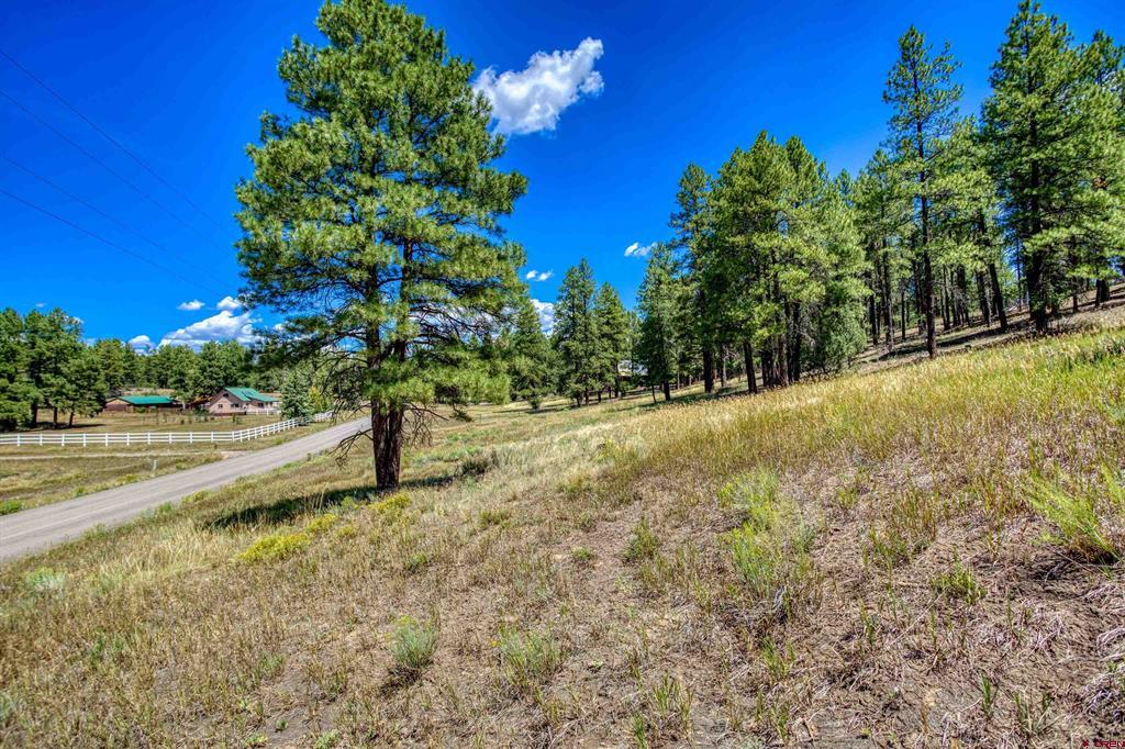 233 Stagecoach Lane Pagosa Springs CO 81147