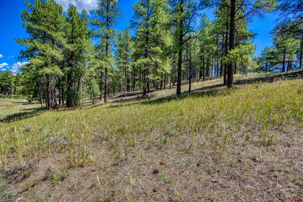 233 Stagecoach Lane Pagosa Springs CO 81147