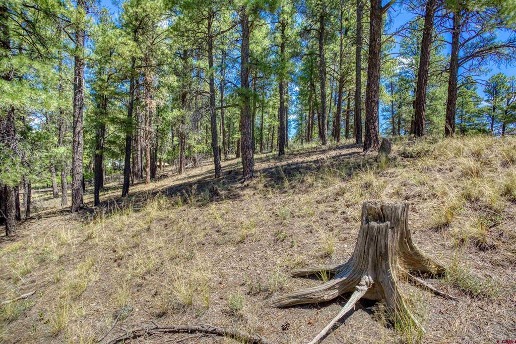 233 Stagecoach Lane Pagosa Springs CO 81147