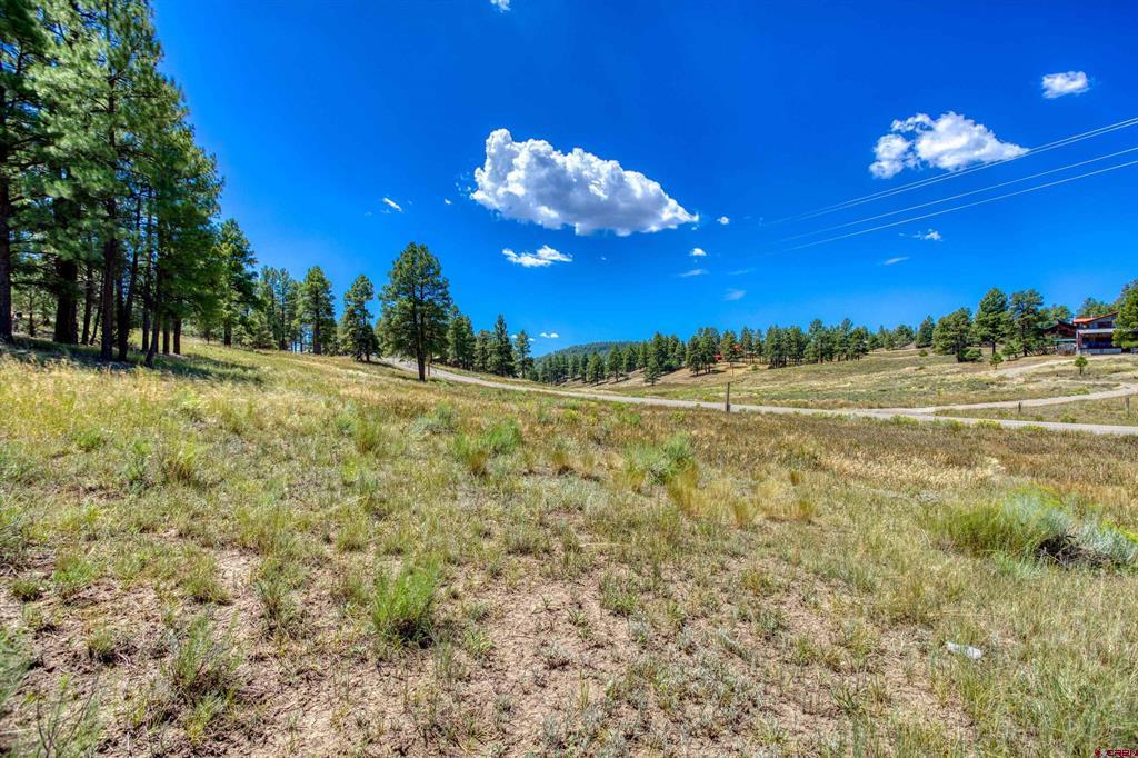233 Stagecoach Lane Pagosa Springs CO 81147