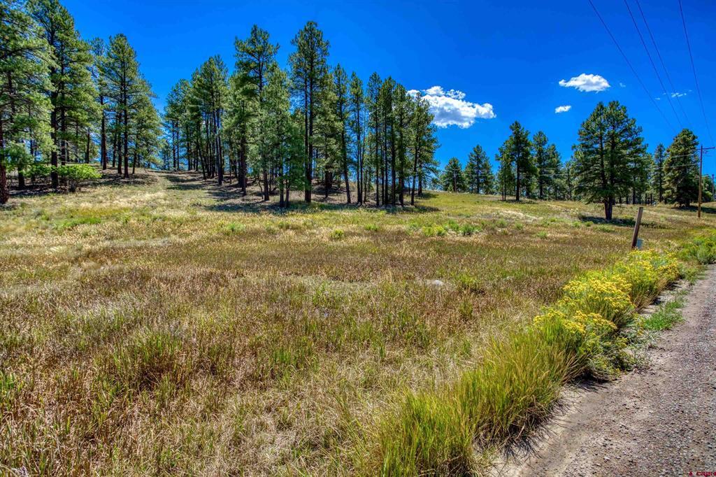 233 Stagecoach Lane Pagosa Springs CO 81147