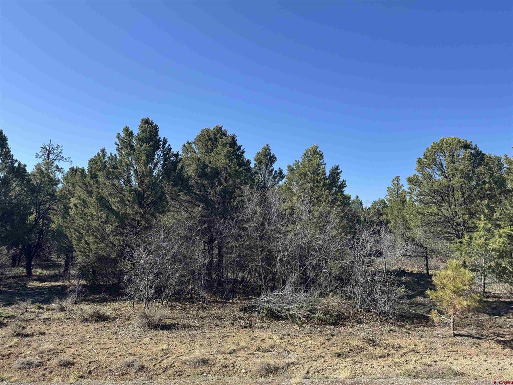 212 Fisher Canyon Drive Ridgway CO 81432