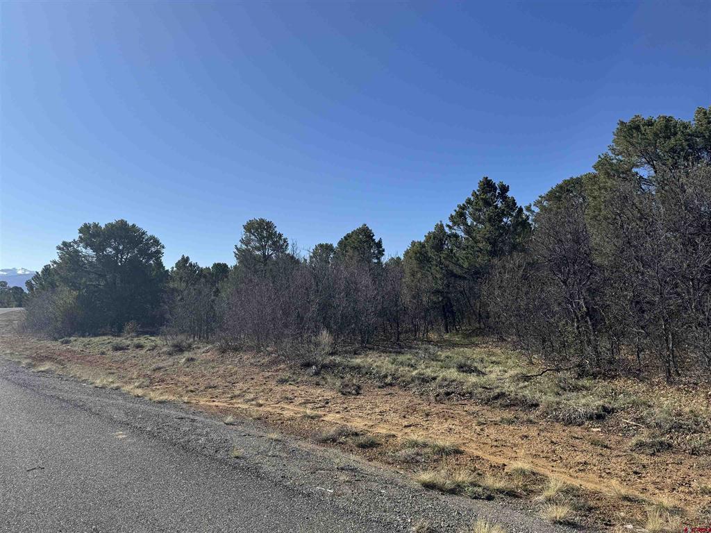 212 Fisher Canyon Drive Ridgway CO 81432