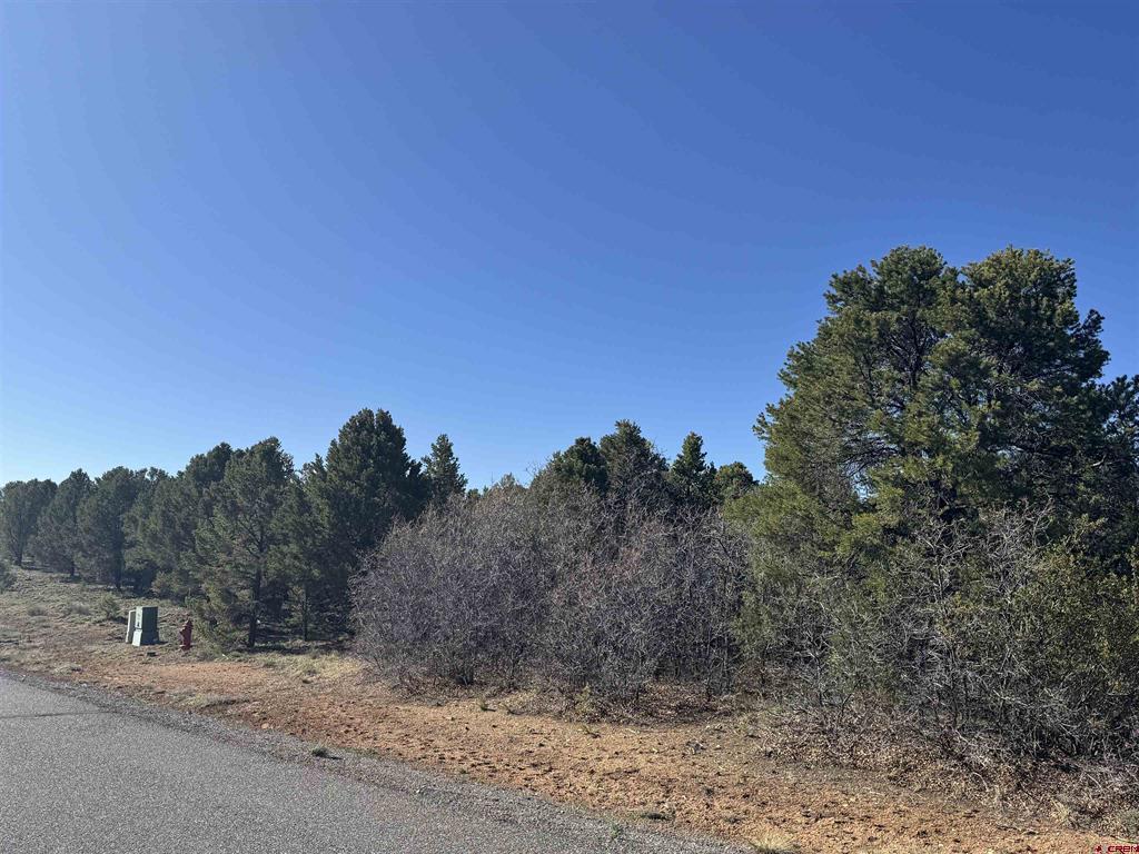 212 Fisher Canyon Drive Ridgway CO 81432