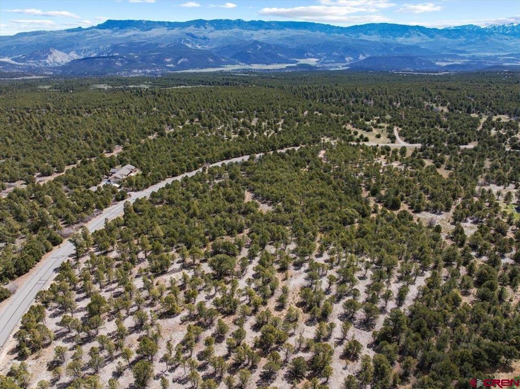 212 Fisher Canyon Drive Ridgway CO 81432