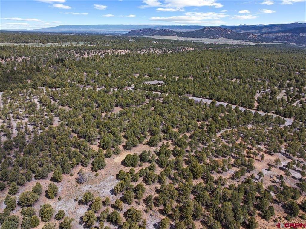 212 Fisher Canyon Drive Ridgway CO 81432