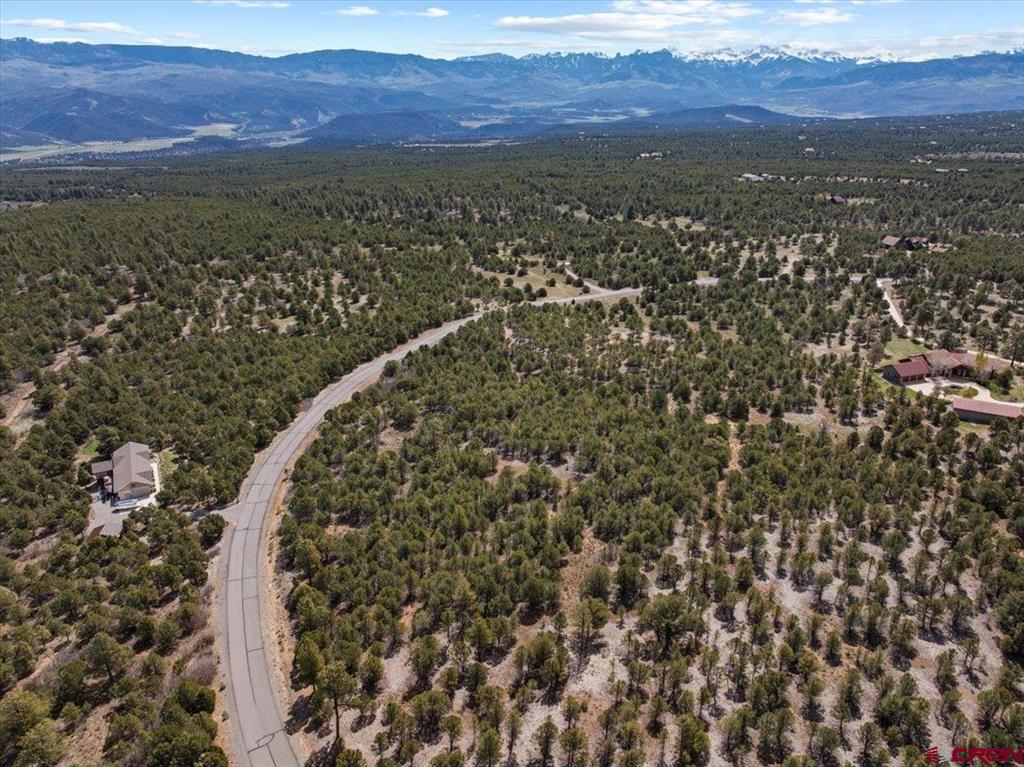 212 Fisher Canyon Drive Ridgway CO 81432
