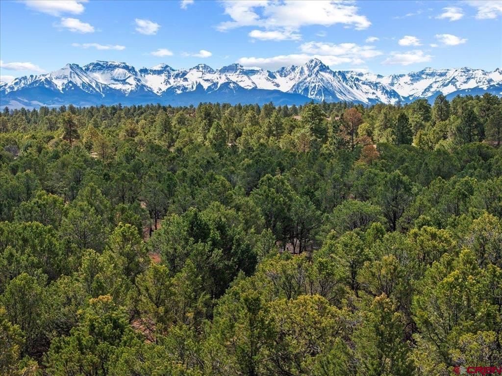 212 Fisher Canyon Drive Ridgway CO 81432