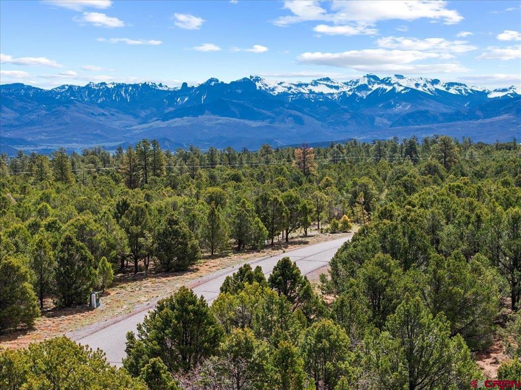 212 Fisher Canyon Drive Ridgway CO 81432