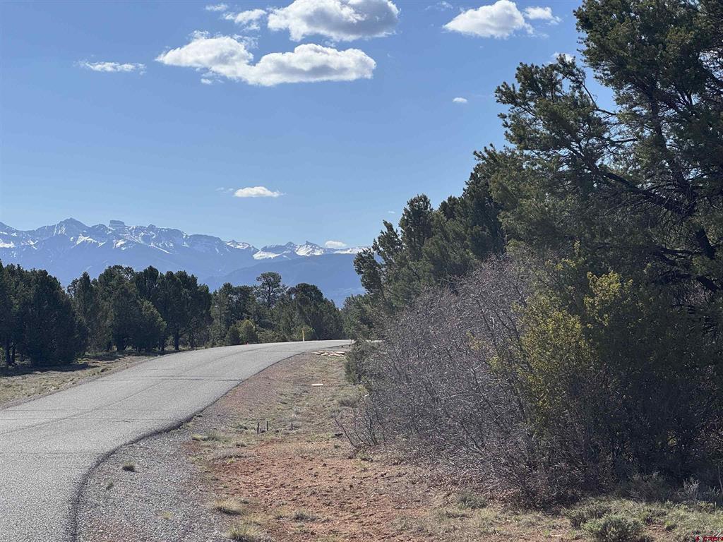 212 Fisher Canyon Drive Ridgway CO 81432