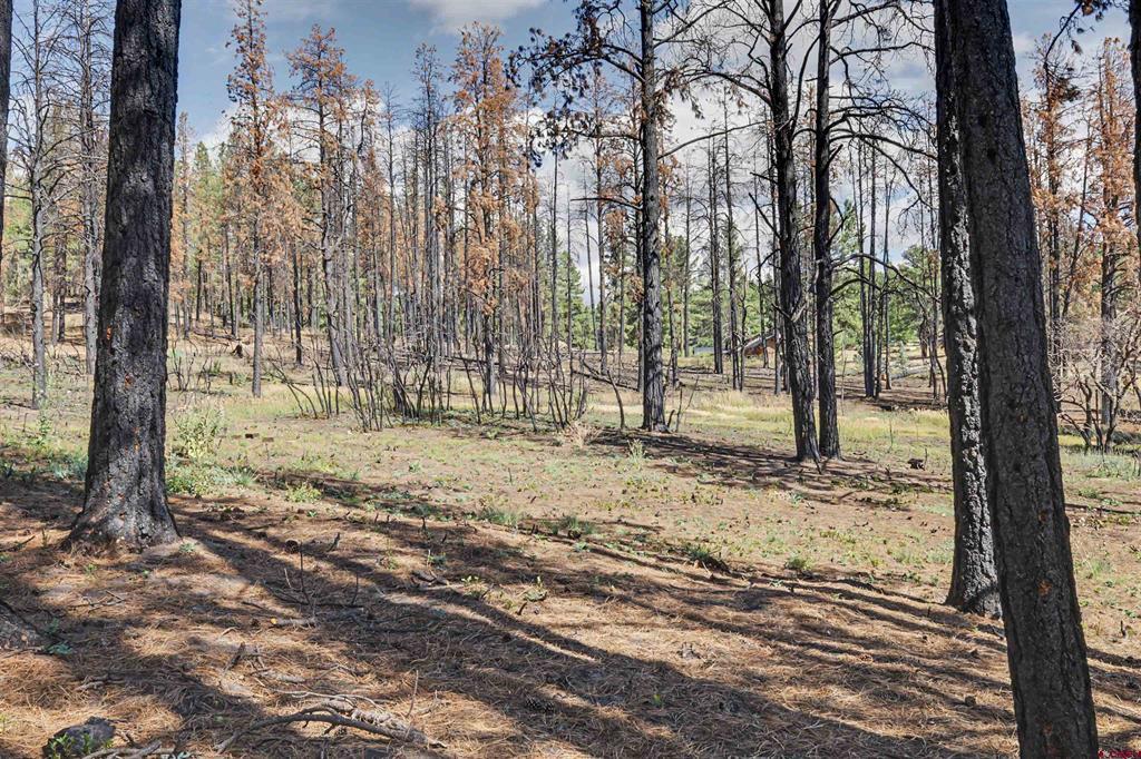 190 Windmill Place Pagosa Springs CO 81147