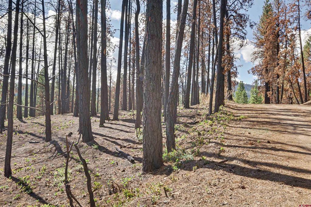 190 Windmill Place Pagosa Springs CO 81147