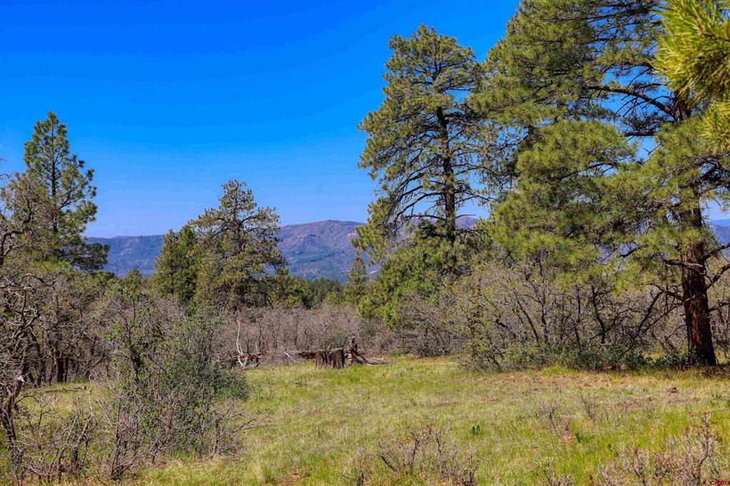 Pagosa Springs CO, 3367 Ranchland