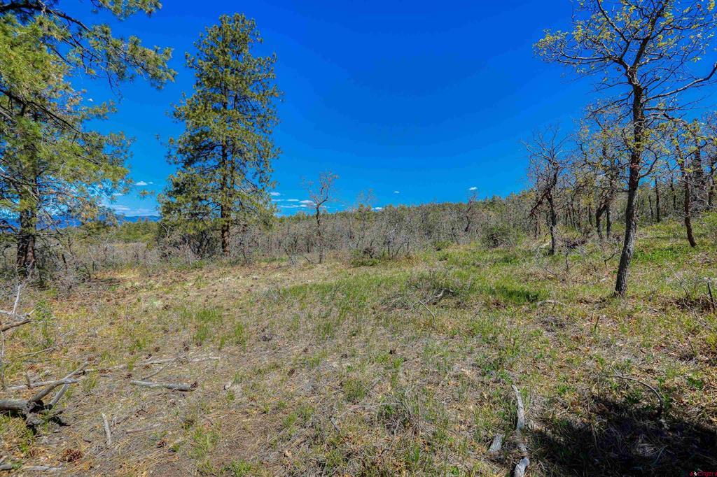 3367 Ranchland Drive Pagosa Springs CO 81147