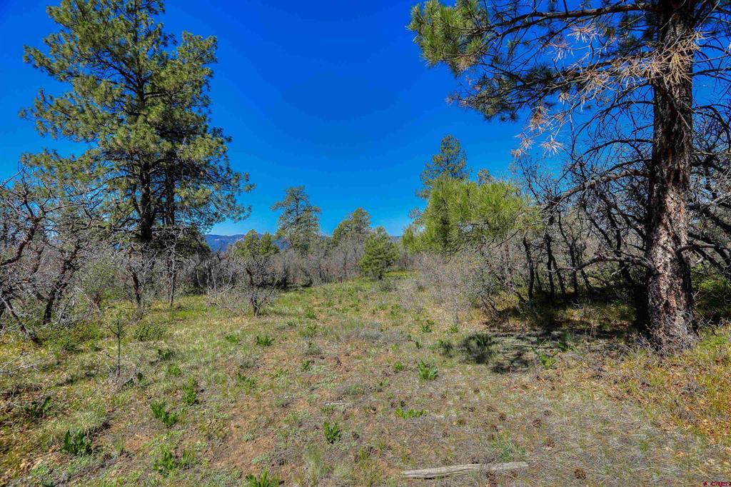 3367 Ranchland Drive Pagosa Springs CO 81147