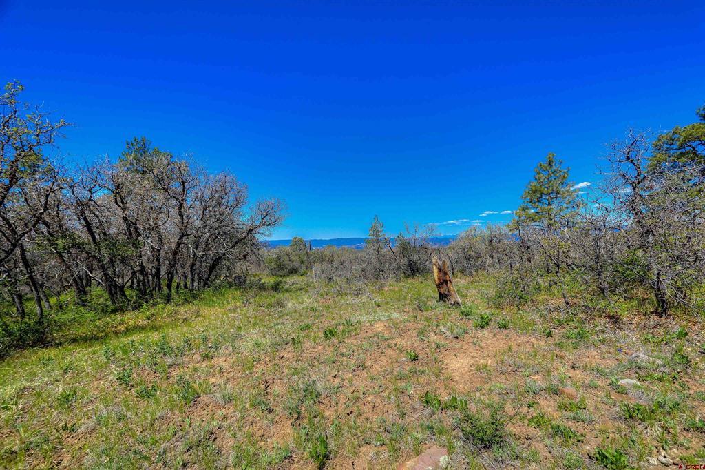 3367 Ranchland Drive Pagosa Springs CO 81147