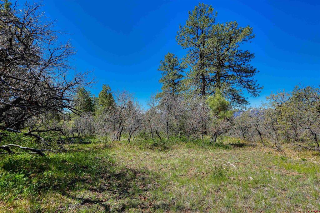 3367 Ranchland Drive Pagosa Springs CO 81147