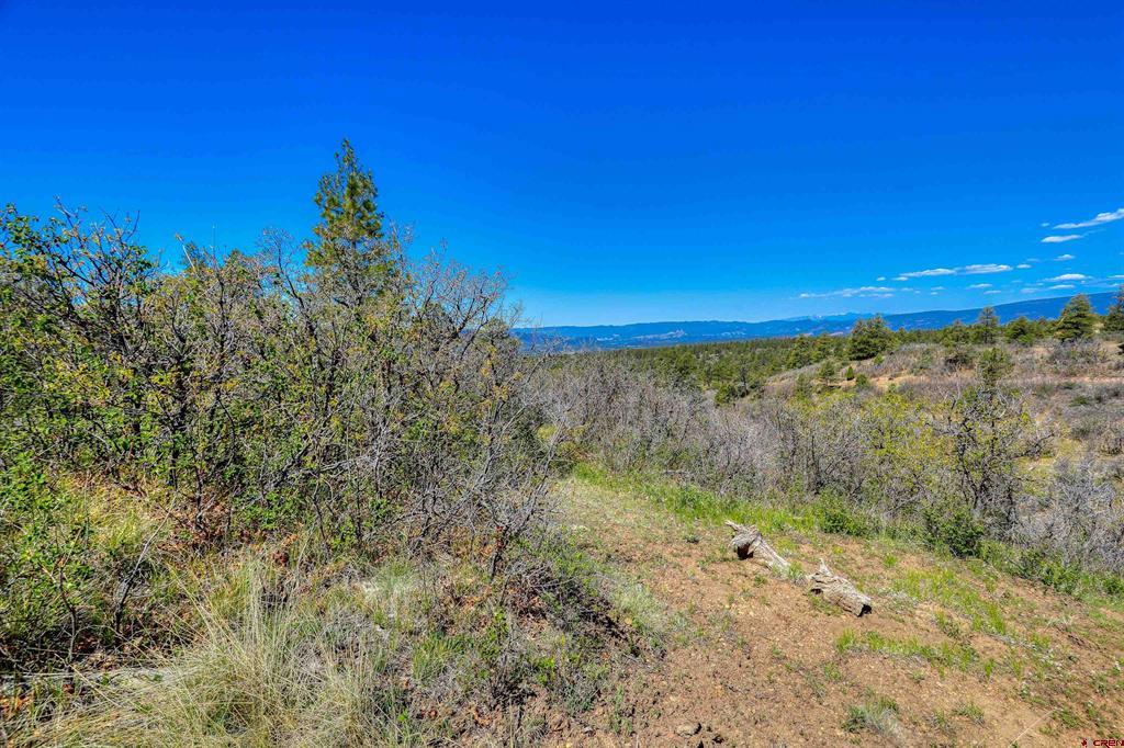 3367 Ranchland Drive Pagosa Springs CO 81147