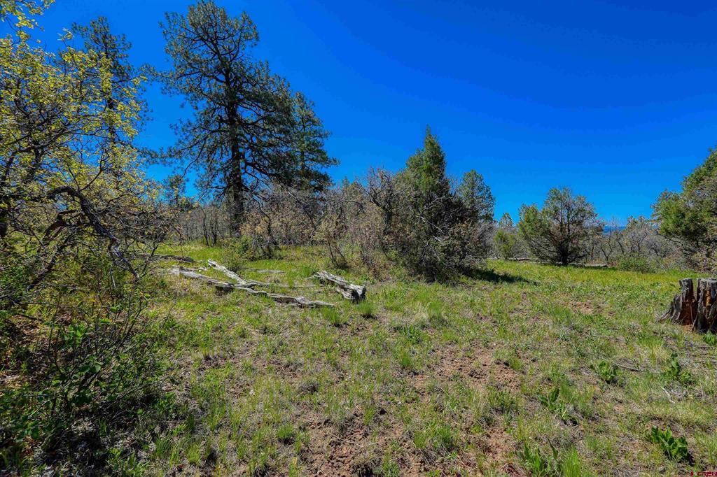 3367 Ranchland Drive Pagosa Springs CO 81147