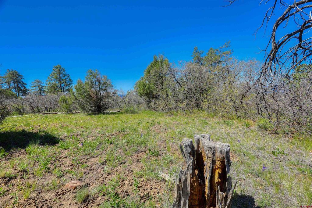 3367 Ranchland Drive Pagosa Springs CO 81147