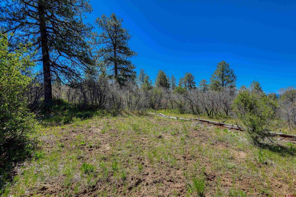 3367 Ranchland Drive Pagosa Springs CO 81147