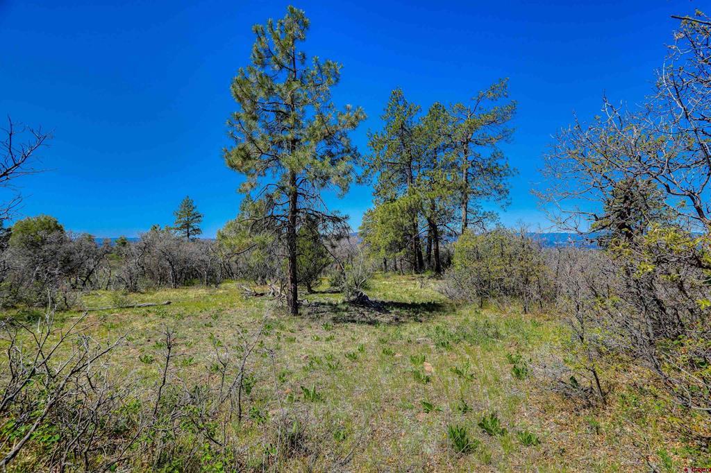 3367 Ranchland Drive Pagosa Springs CO 81147