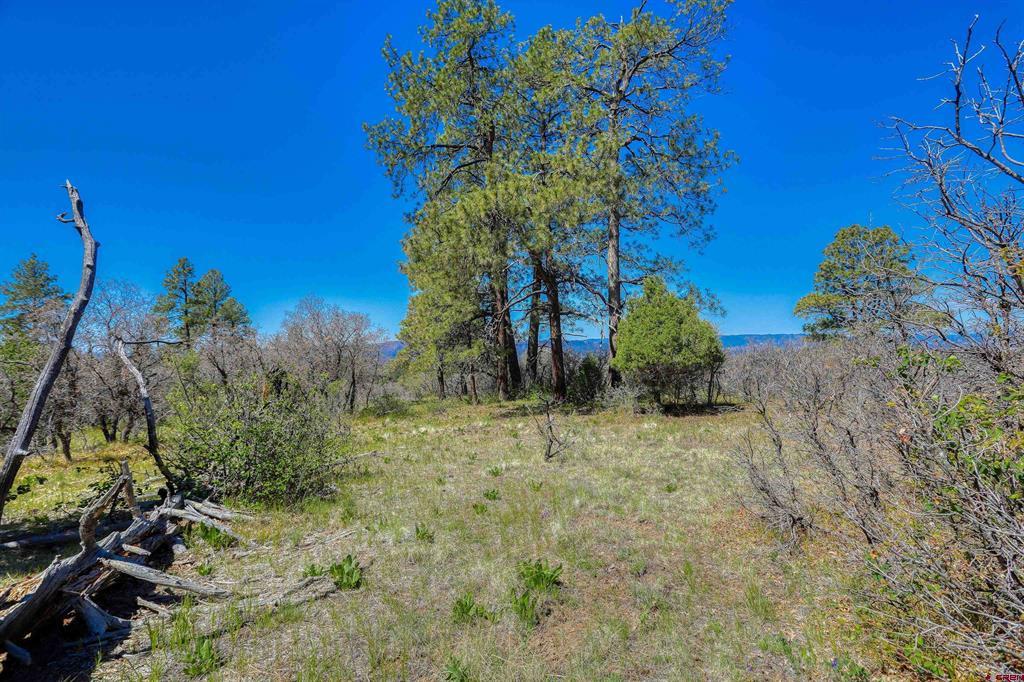 3367 Ranchland Drive Pagosa Springs CO 81147