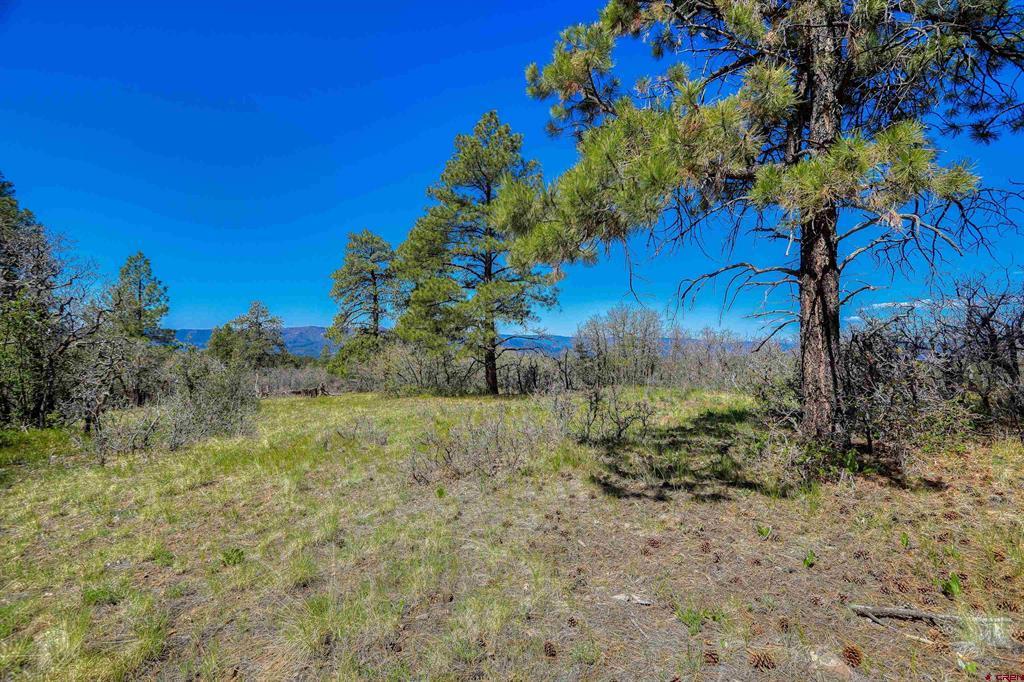 3367 Ranchland Drive Pagosa Springs CO 81147