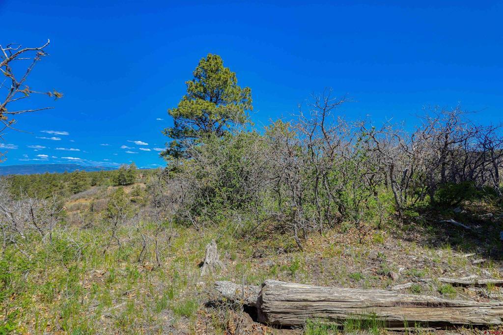 3367 Ranchland Drive Pagosa Springs CO 81147
