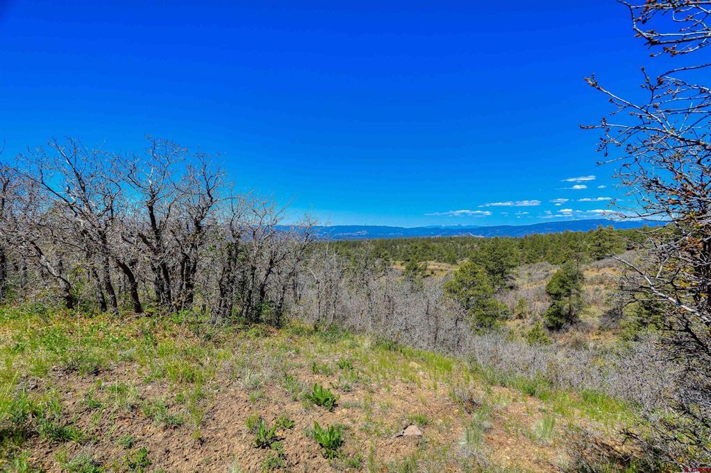3367 Ranchland Drive Pagosa Springs CO 81147