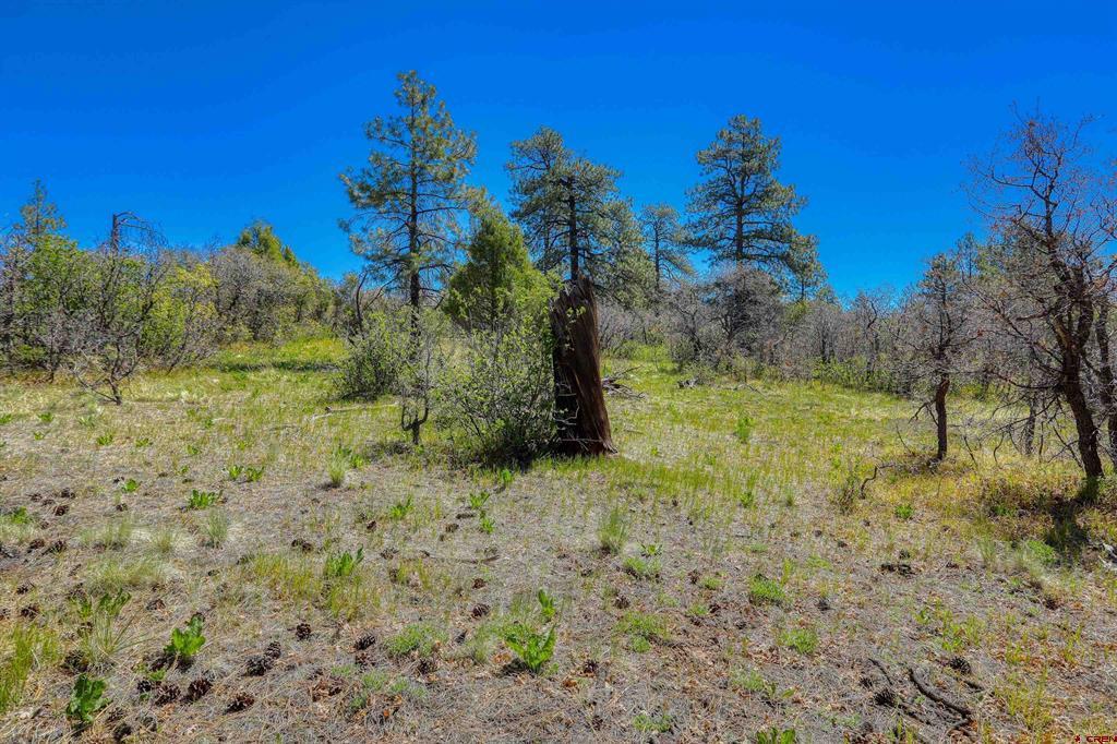 3367 Ranchland Drive Pagosa Springs CO 81147