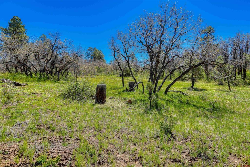 3367 Ranchland Drive Pagosa Springs CO 81147
