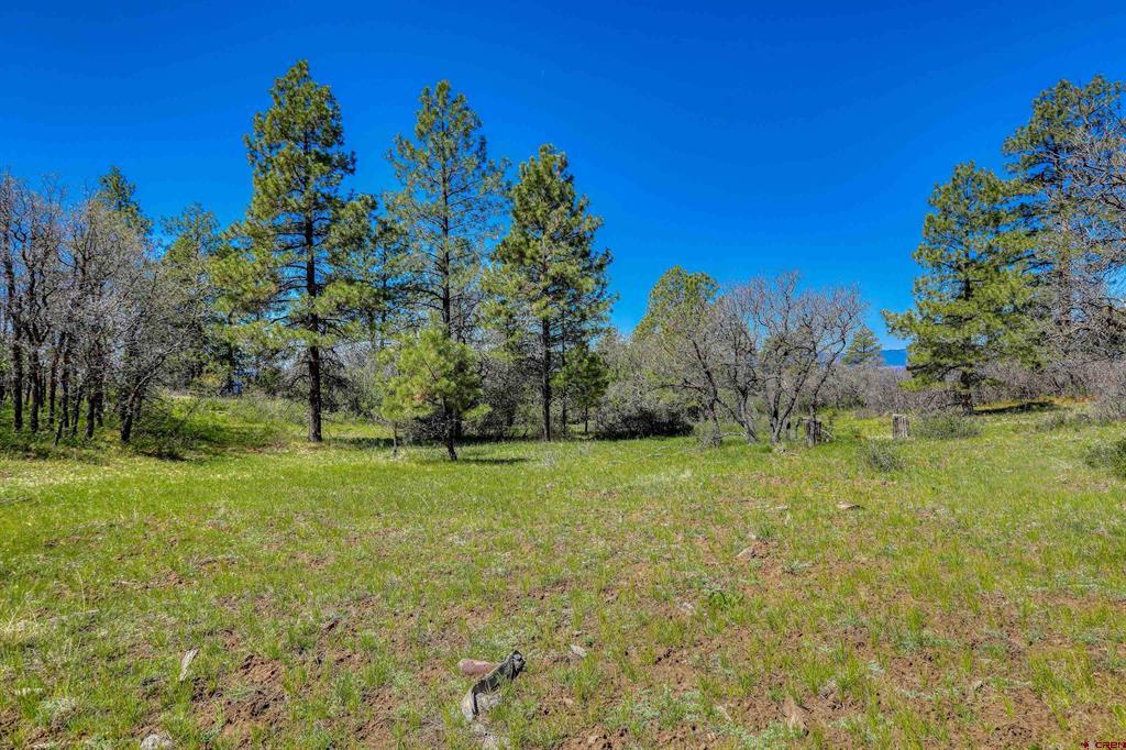 3367 Ranchland Drive Pagosa Springs CO 81147