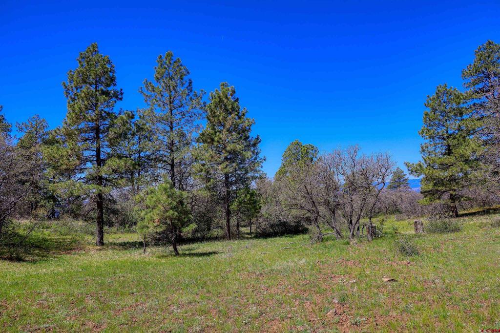 3367 Ranchland Drive Pagosa Springs CO 81147